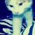 :iconendlesslimitations: