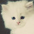 :iconendlessreflection: