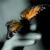 :iconendoriel: