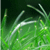 :iconEndura123: