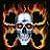 :iconendurodirtkid: