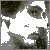 :iconenemywithin: