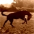 :iconenergizer89: