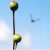 :iconenga: