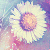 :iconengallop: