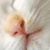 :iconenglandshimeji: