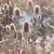 :iconenglishhearts: