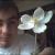 :iconengwild: