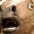 :iconenhest: