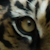 :iconenigma-creations: