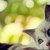enigma-xoa :iconenigma-xoa: