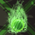 :iconenigmasoul8: