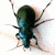 enigmastock :iconenigmastock: