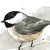 :iconenigmaticmemory: