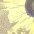 :iconenihsnusfoear: