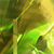 :iconenirevlow: