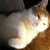 :iconenjoueami:
