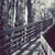 :iconenjoylife813: