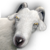 :iconenkt: