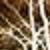 :iconenlightened-ichor:
