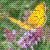 :iconenna-999: