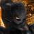 :iconenoch16: