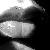 :iconenomya: