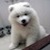 :iconenord92: