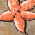 :iconenosciz: