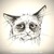 :iconenot-denis61ch:
