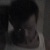 :iconenout: