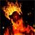 :iconenrak: