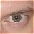 :iconensane-irish: