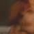 :iconenspelledequines:
