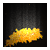 :iconENstudio:
