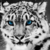 :iconenternalwinter: