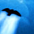 :iconenthend: