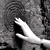 :iconEntish1: