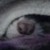 :iconentoxxxicated: