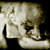 :iconentroid: