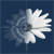 :iconentropysix: