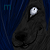 :iconenvyh: