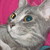 :iconenvyhaley: