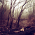 :iconenvyre:
