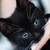:iconeonlight: