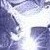 :iconeovayayin: