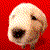 :iconeowing: