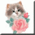 :iconeowyn2000: