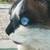 :iconepere15: