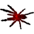 Ephebopus365 :iconephebopus365: